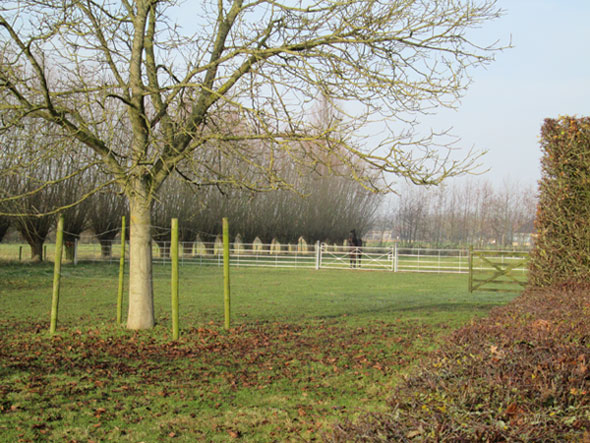 Field Gates