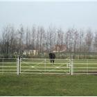 Estate fencing